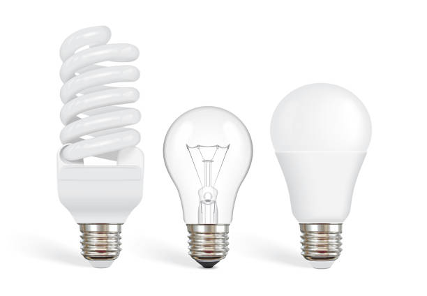 transparent incandescent bulb, fluorescent and led bulb vector